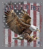 Land of the Free Tee